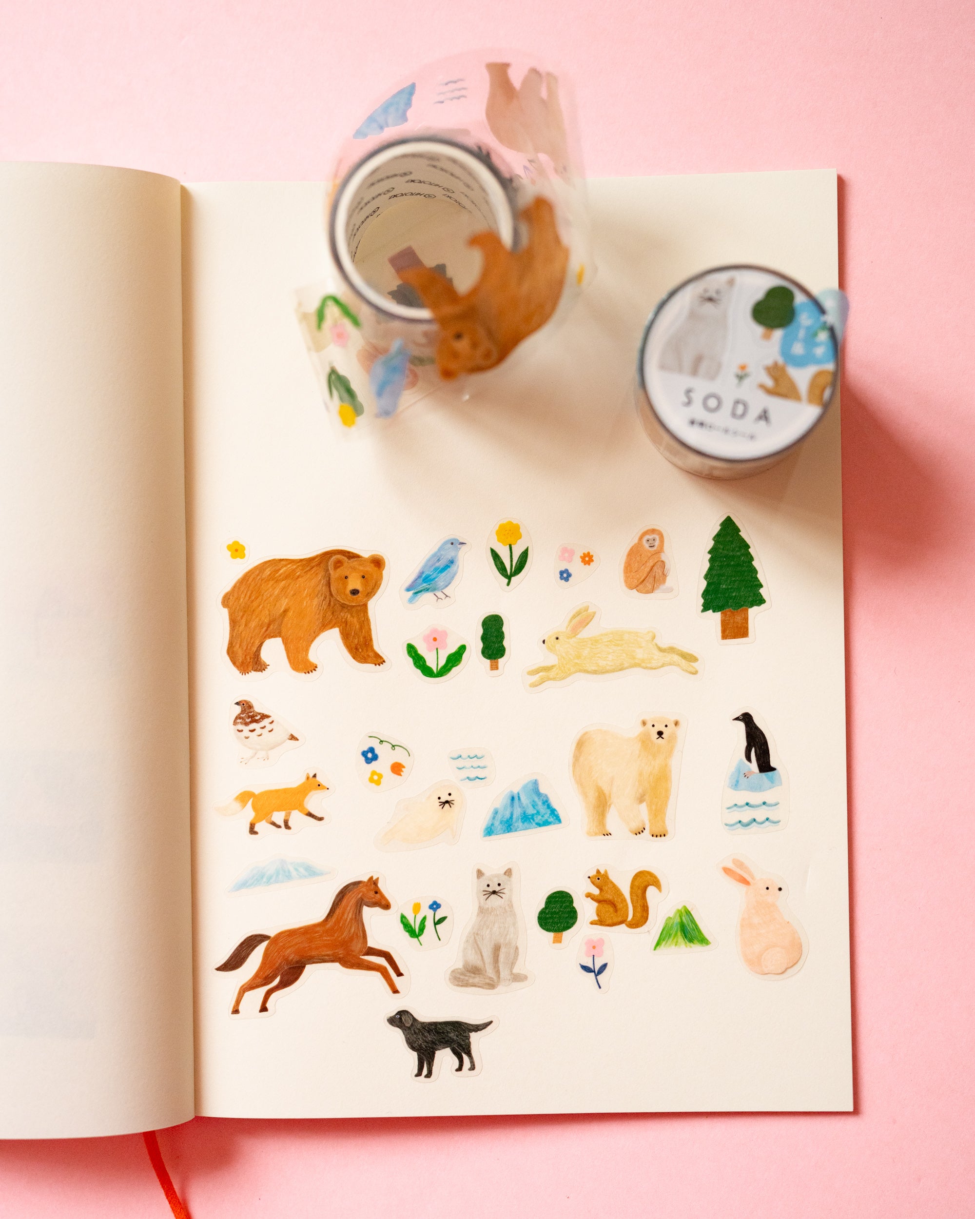 Stickers Animaux Soda 5eme Edition King Jim