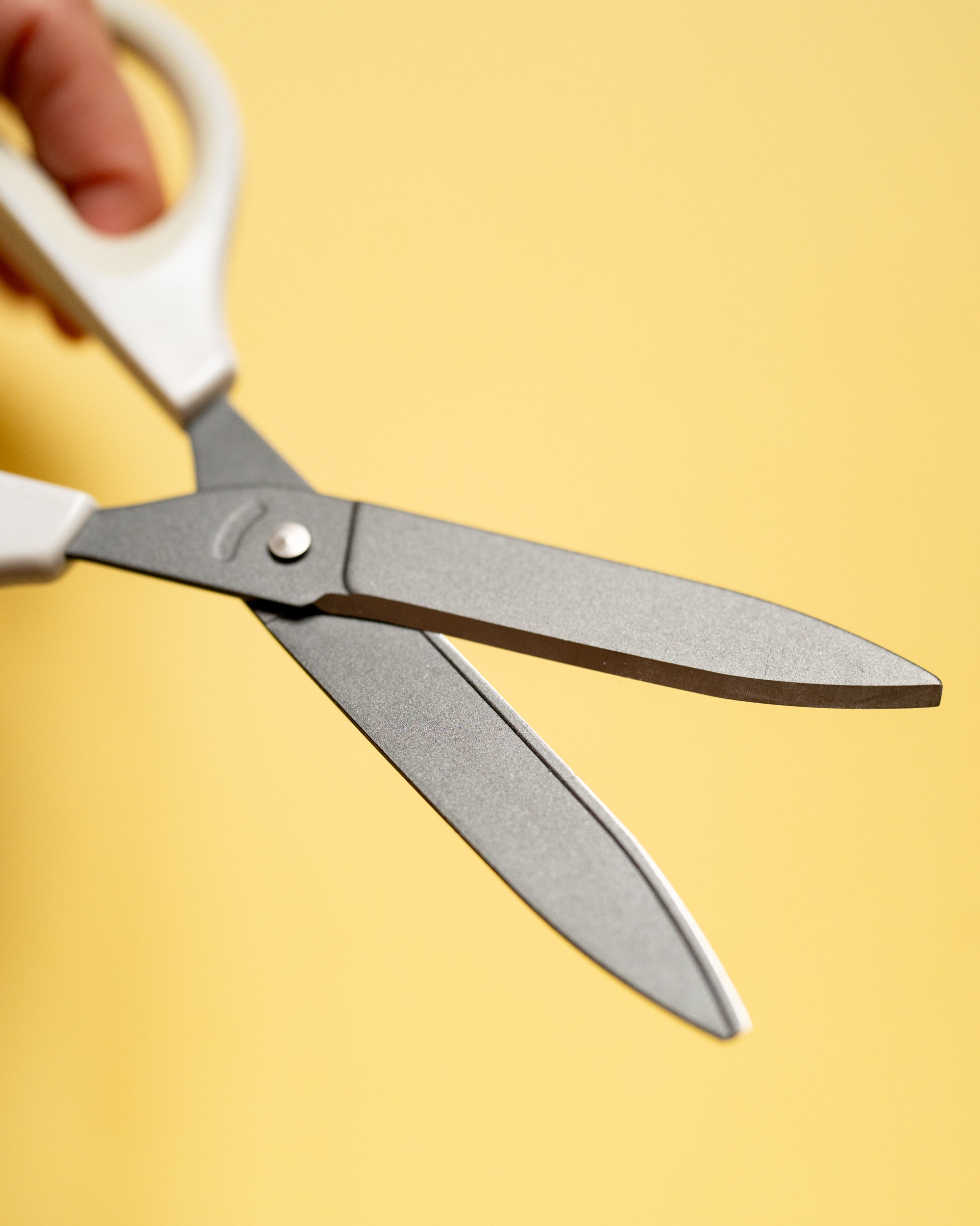 Ciseaux Saxa Kokuyo (2 coloris disponibles)