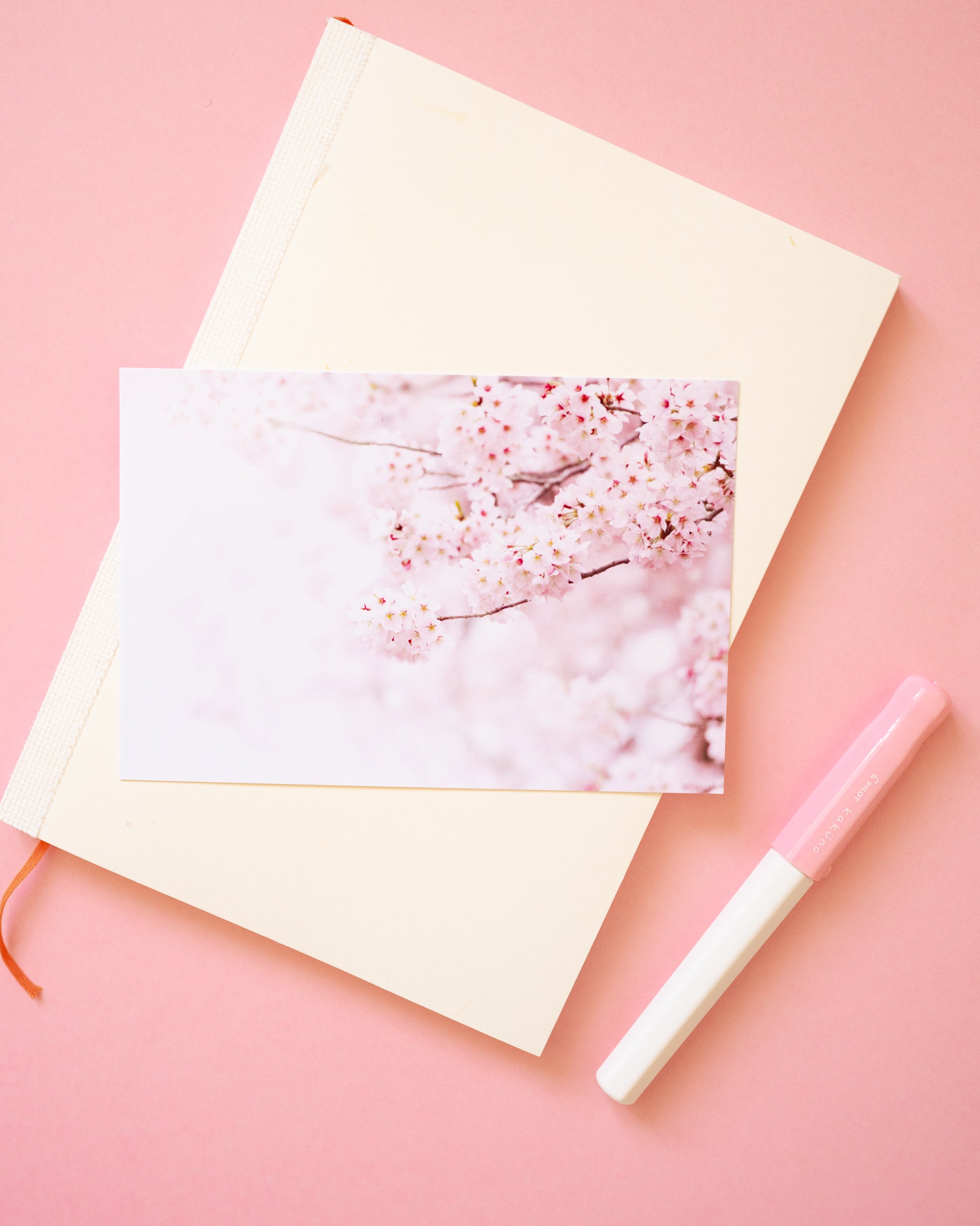 Carte Postale Photo Sakura Cerisiers Japonais